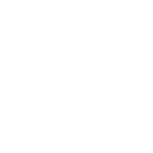 Logo of verseas