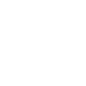 Logo of zillion